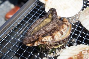 特大サイズのアワビ!!
