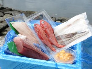 海鮮問屋青木やの目利きセット