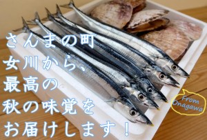 さんまの町女川の秋の味覚